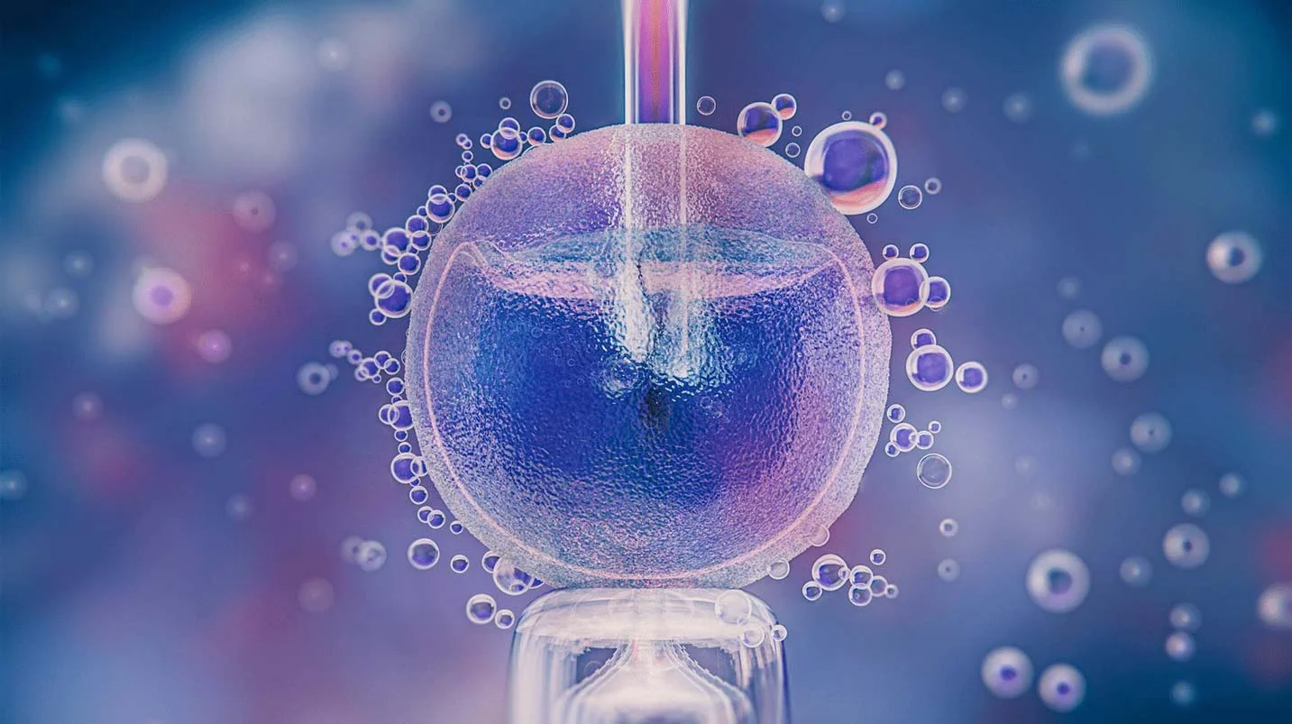 Εξωσωματική γονιμοποίηση (IVF) στην Ovagenesis