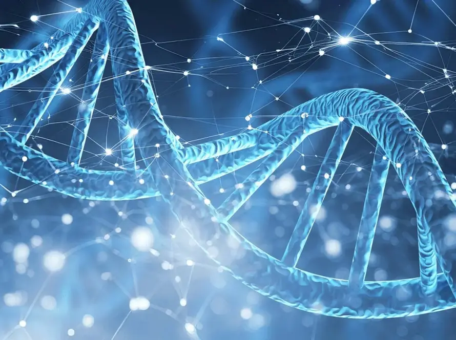 Preimplantation Genetic Testing