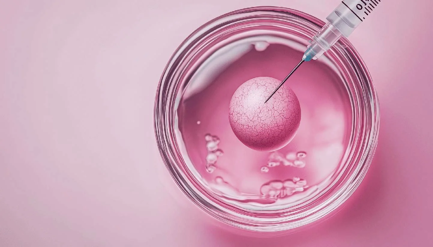 Εξωσωματική Γονιμοποίηση σε Φυσικό κύκλο στην Ovagenesis