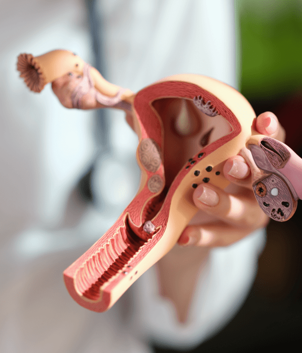 Untitled - 2025-02-23T113819.578