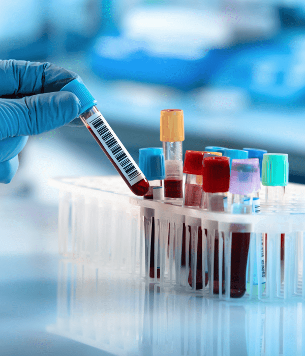 Untitled - 2025-02-24T084216.086