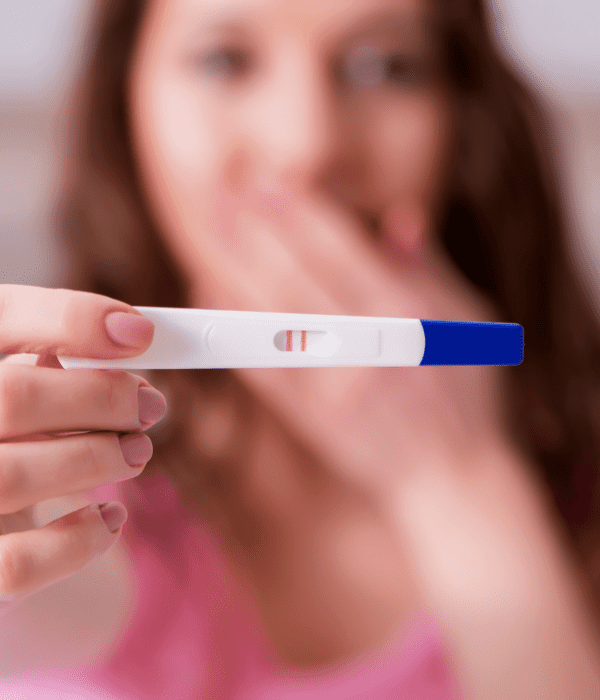 Untitled - 2025-02-24T094024.288