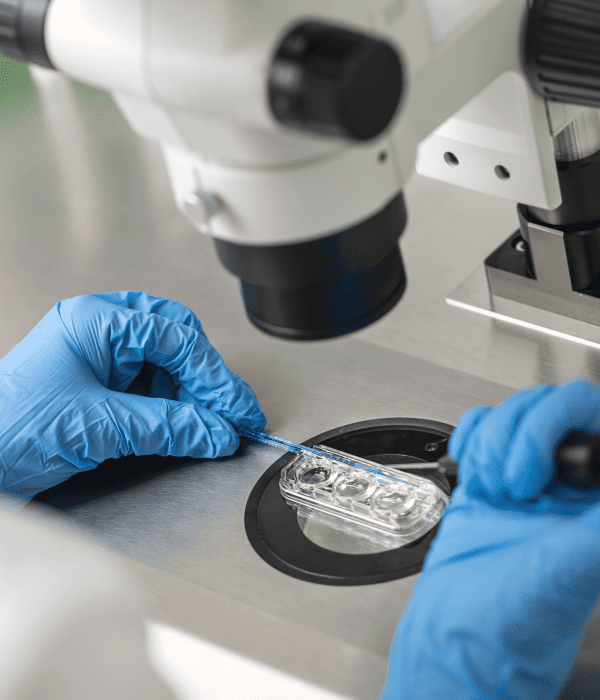 Untitled - 2025-02-24T103612.856