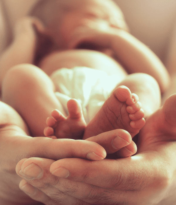 Untitled - 2025-02-24T124123.209