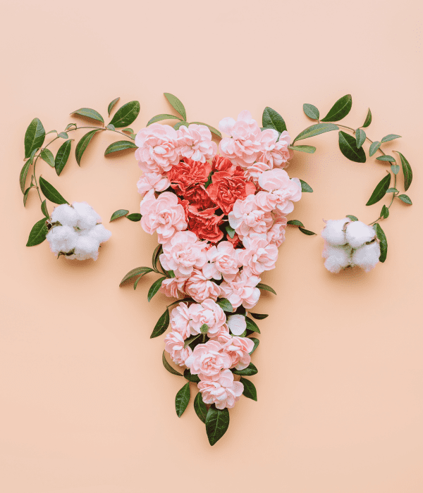 Untitled - 2025-02-25T123747.799