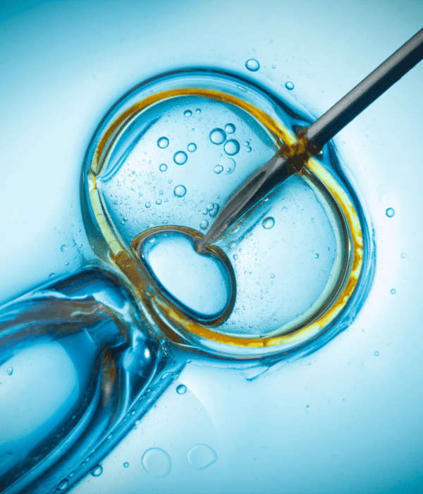 Εξωσωματική με Δωρεά Ωαρίων στην Ovagenesis